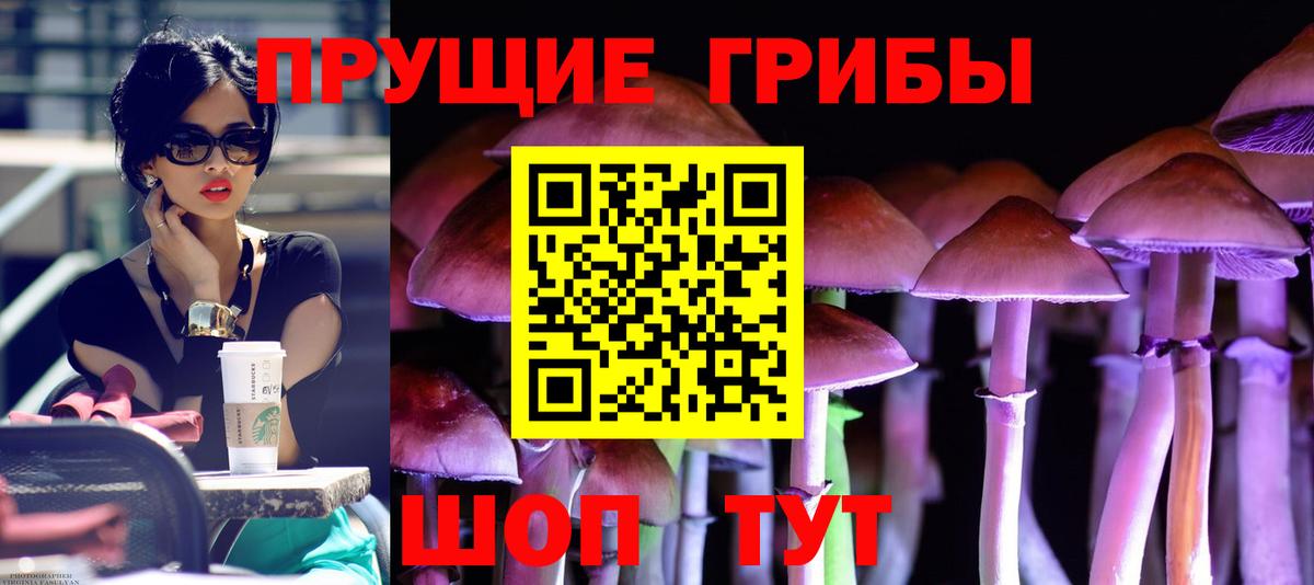 Галлюциногенные грибы Cubensis  Вход с VPN  Оренбург 